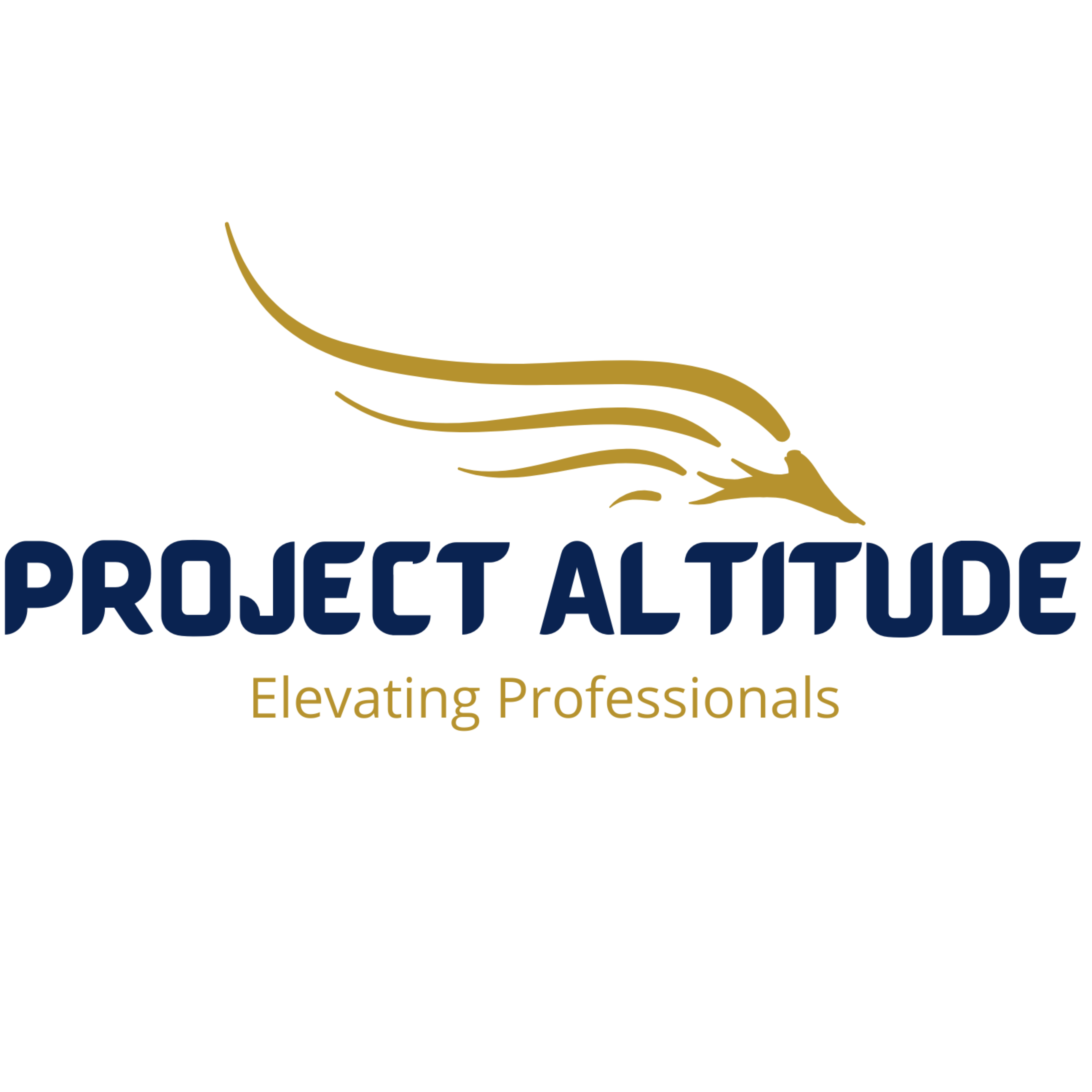 Project Altitude