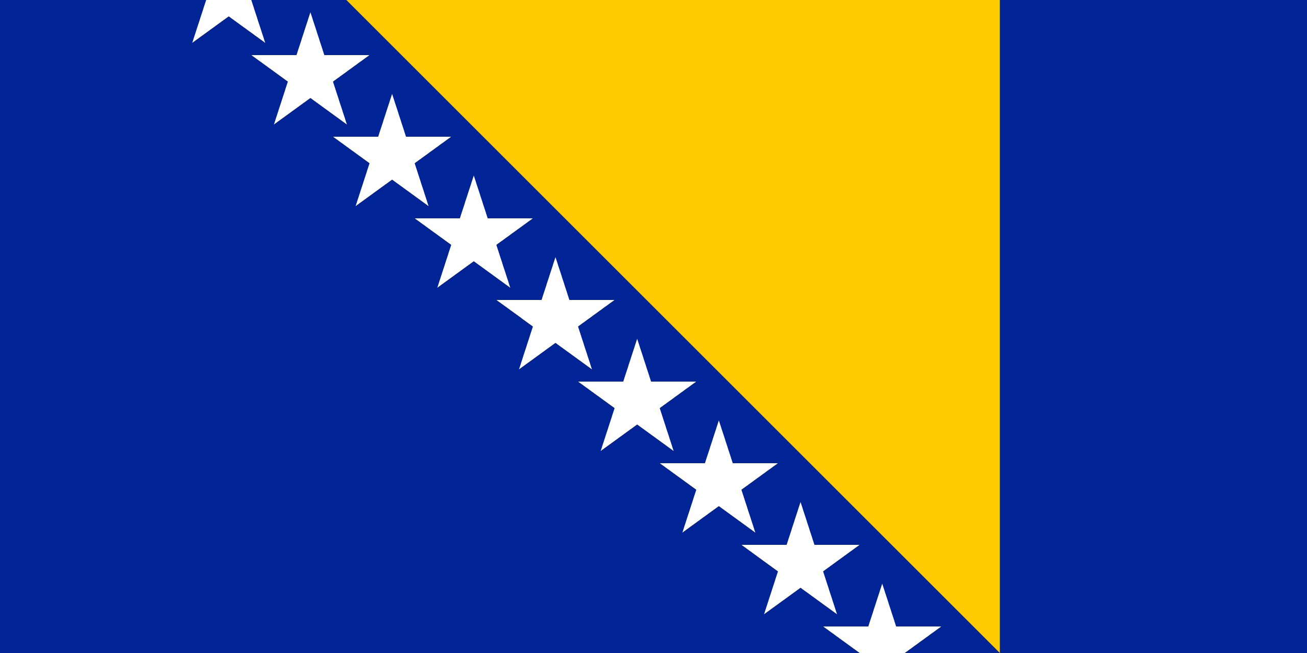 Bosnia And Herzegovina Flag