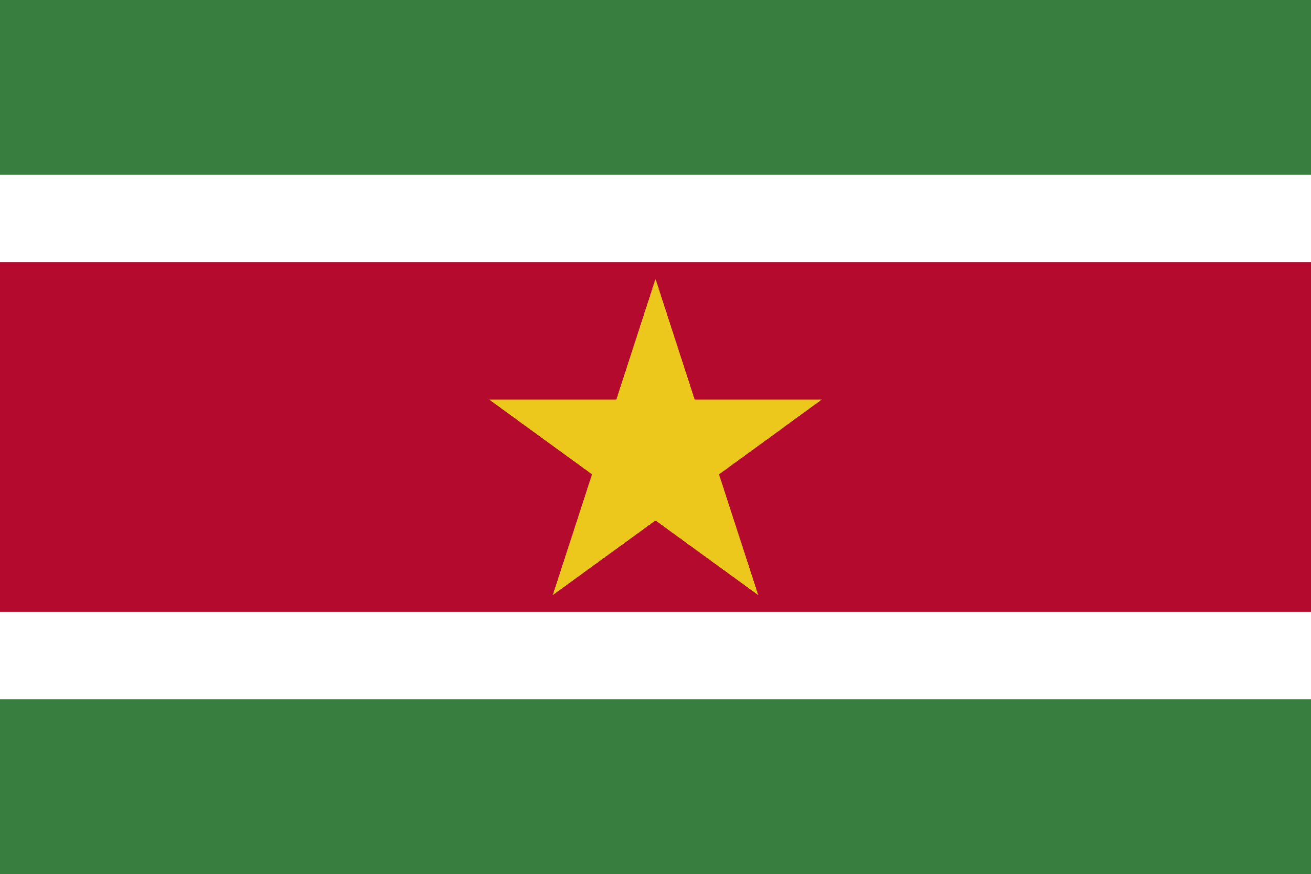 苏里南 Flag